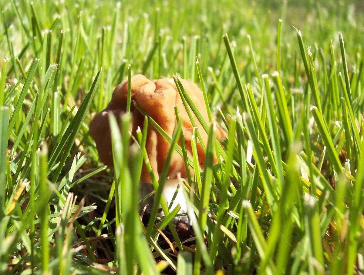 A 1000 metri dopo l''acqua